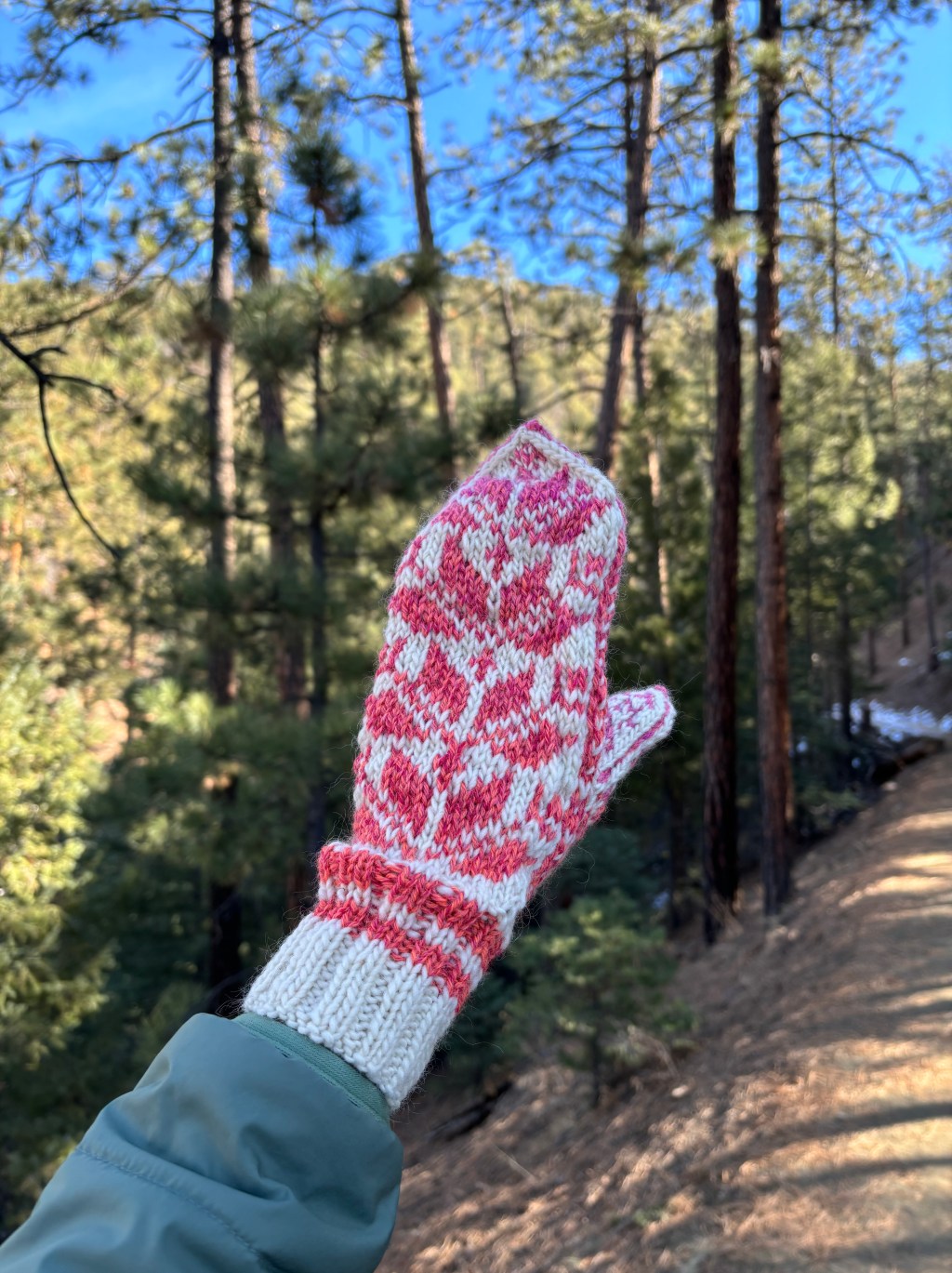 A Winter Hike in Santa&nbsp;Fe