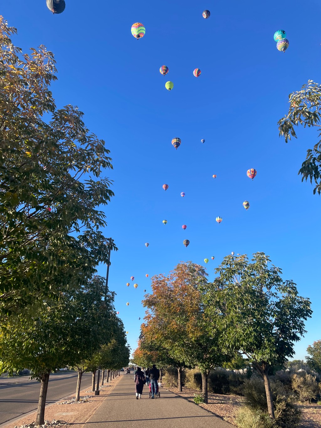 An Early Morning at the Balloon&nbsp;Fiesta